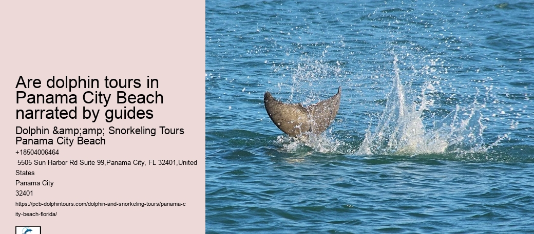 Are dolphin tours in Panama City Beach narrated by guides