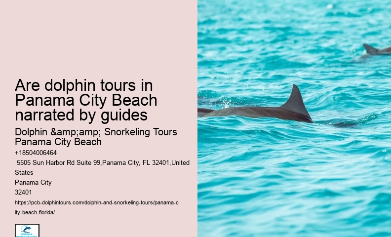 Can I request a specific guide for my dolphin tour