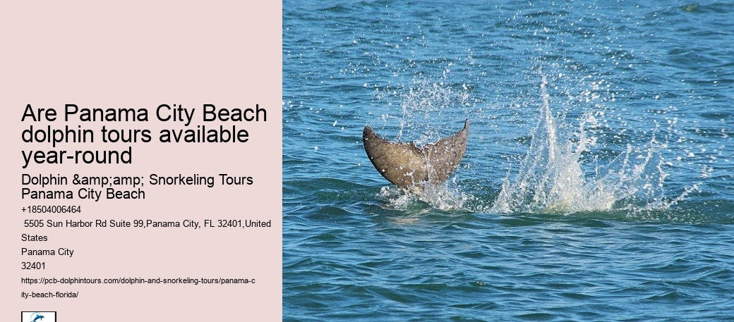 Are Panama City Beach dolphin tours available year-round
