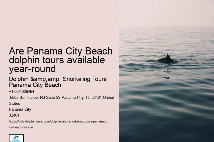 What safety measures are in place during dolphin tours in Panama City Beach