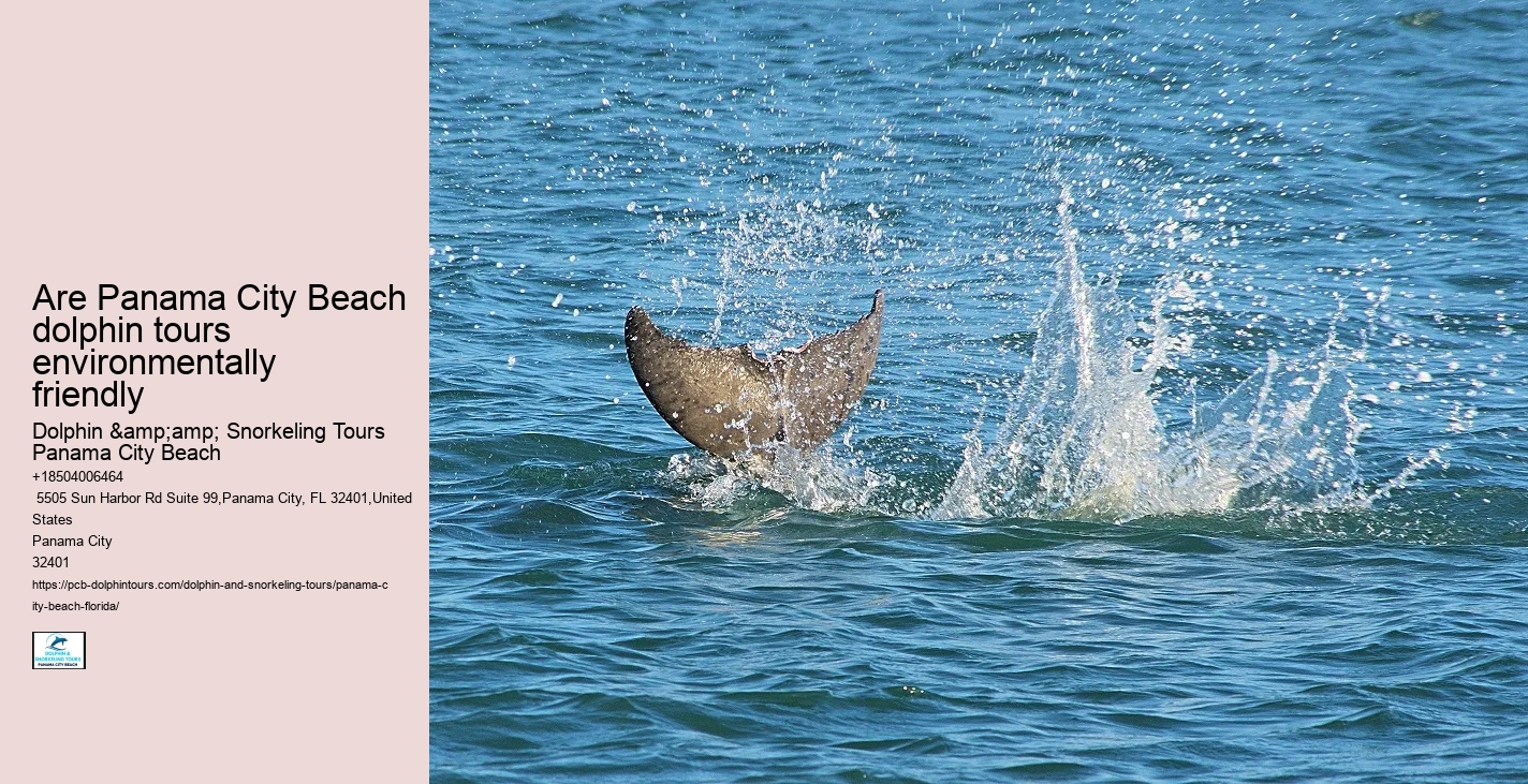 Panama City Beach Dolphin Cruises