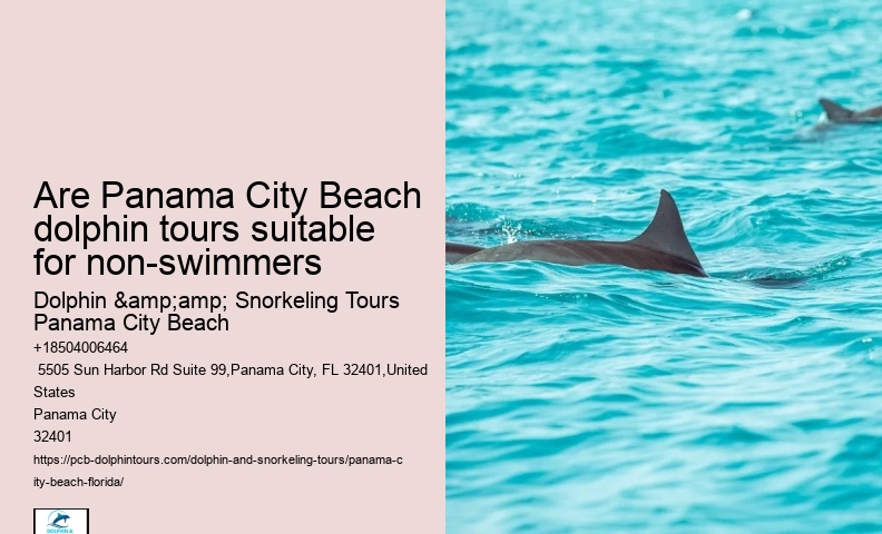 Cheap Dolphin Tours In Panama City Beach