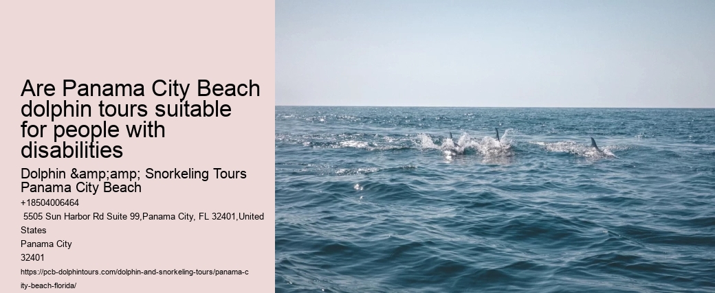 How Deep Is The Water When You Swim With Dolphins