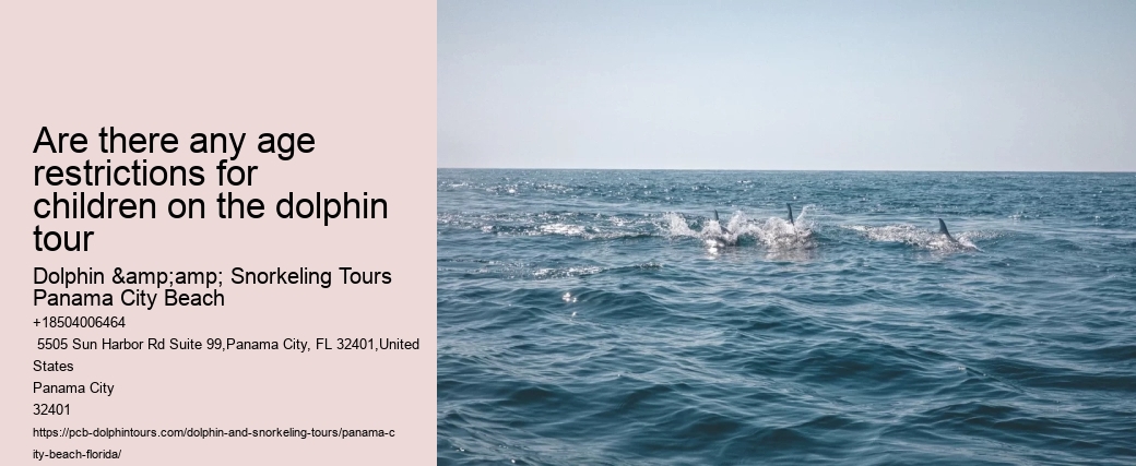 Are there any age restrictions for children on the dolphin tour