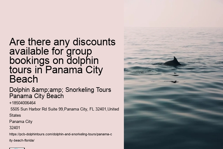Panama City Beach dolphin watching voyages