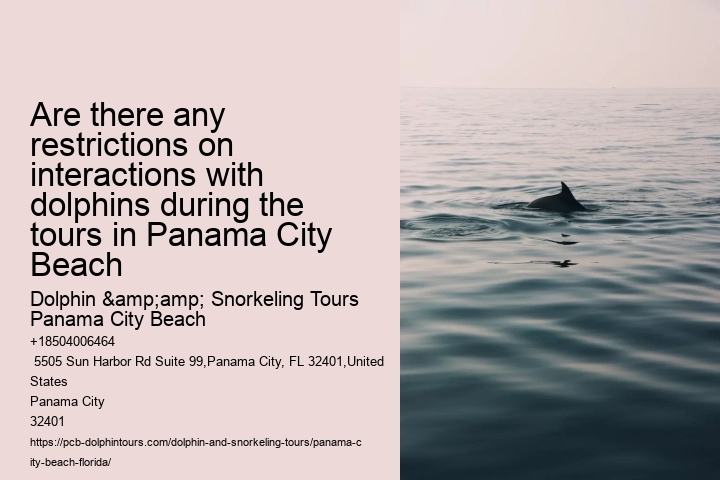 Are there any restrictions on interactions with dolphins during the tours in Panama City Beach