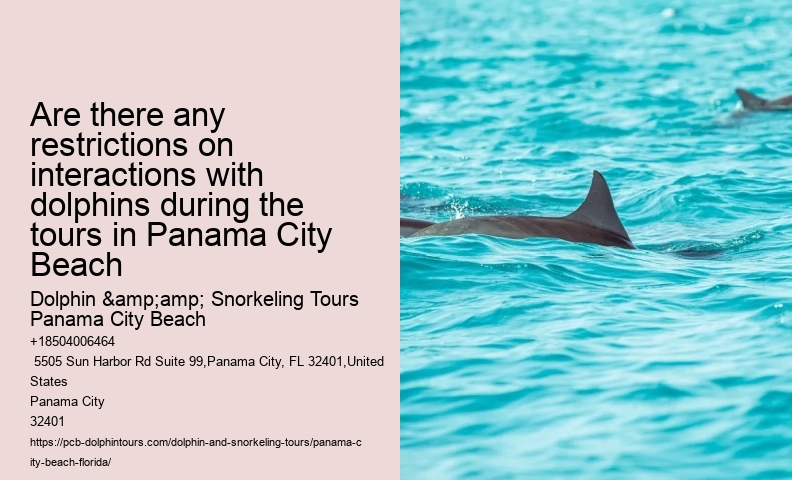 Dolphin Tours