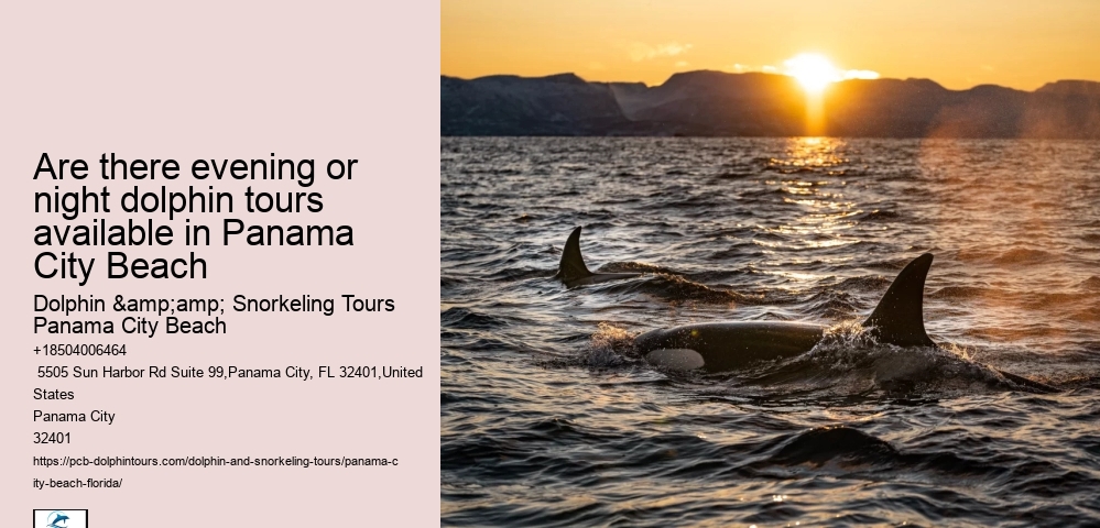 Are there evening or night dolphin tours available in Panama City Beach