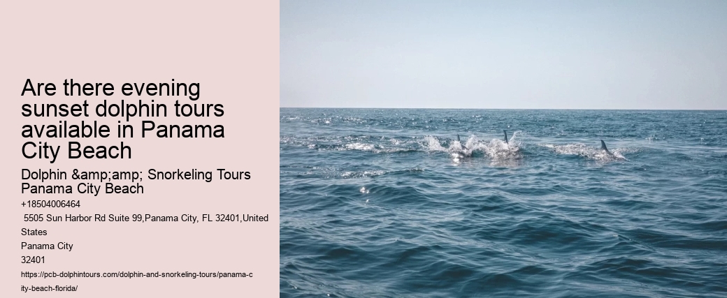 Are there evening sunset dolphin tours available in Panama City Beach