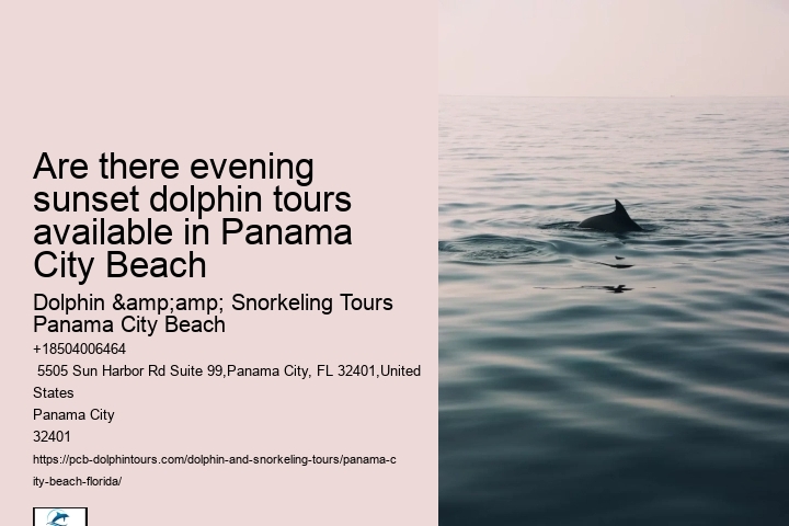 What Beach In Florida Has The Most Dolphins