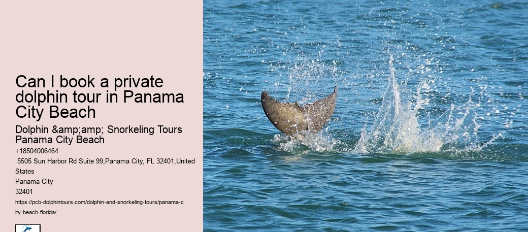 Can I book a private dolphin tour in Panama City Beach