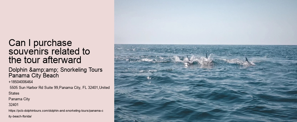 Dolphin Tours Panama City Beach Fl