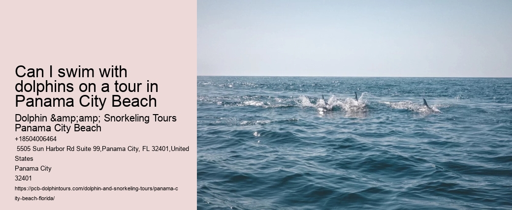 Are there any specific clothing recommendations for the dolphin tour