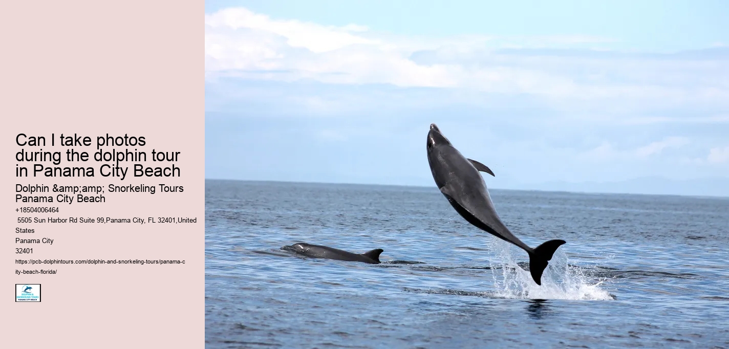 Can I take photos during the dolphin tour in Panama City Beach