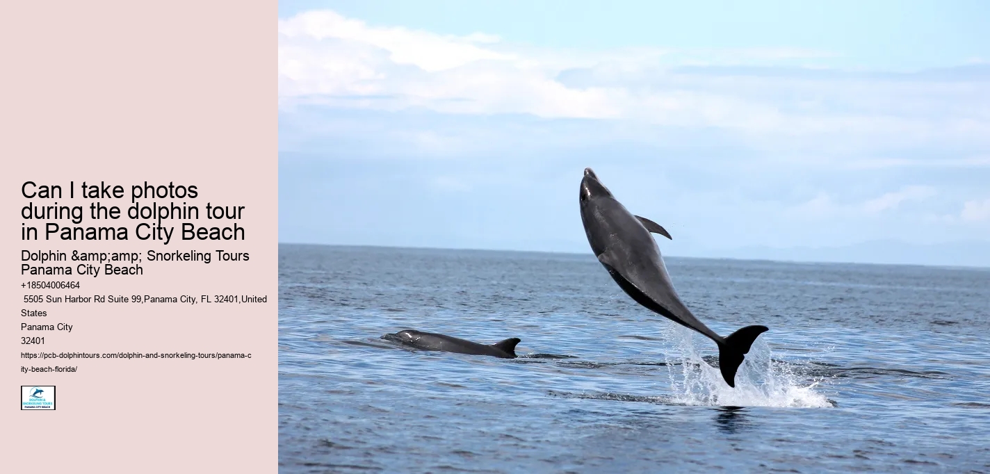 Are Panama City Beach dolphin tours suitable for people with disabilities