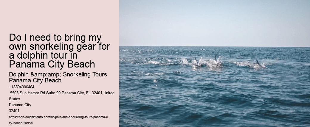 Do I need to bring my own snorkeling gear for a dolphin tour in Panama City Beach