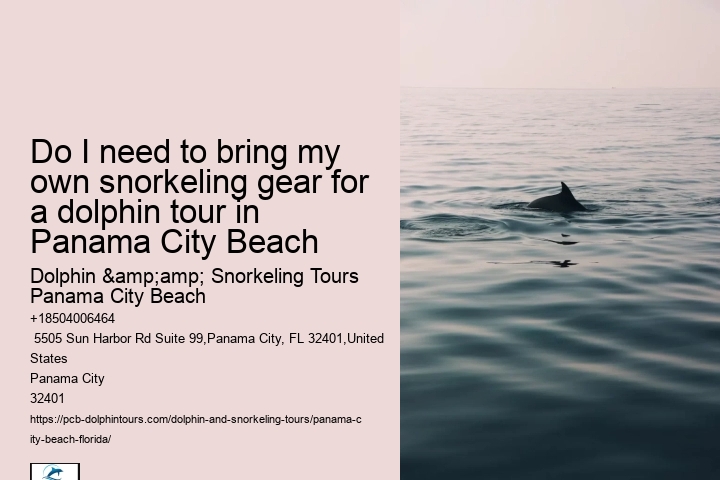 Panama City Beach dolphin boat adventures