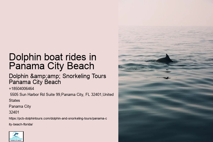 Panama City Beach dolphin viewing tours