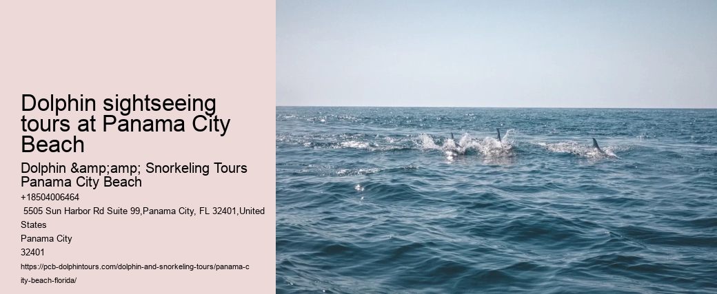 Dolphin sightseeing tours at Panama City Beach