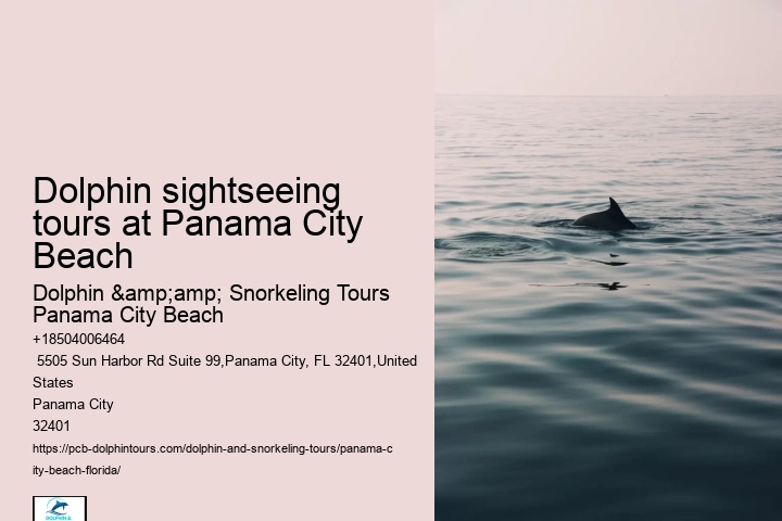 Are there evening or night dolphin tours available in Panama City Beach