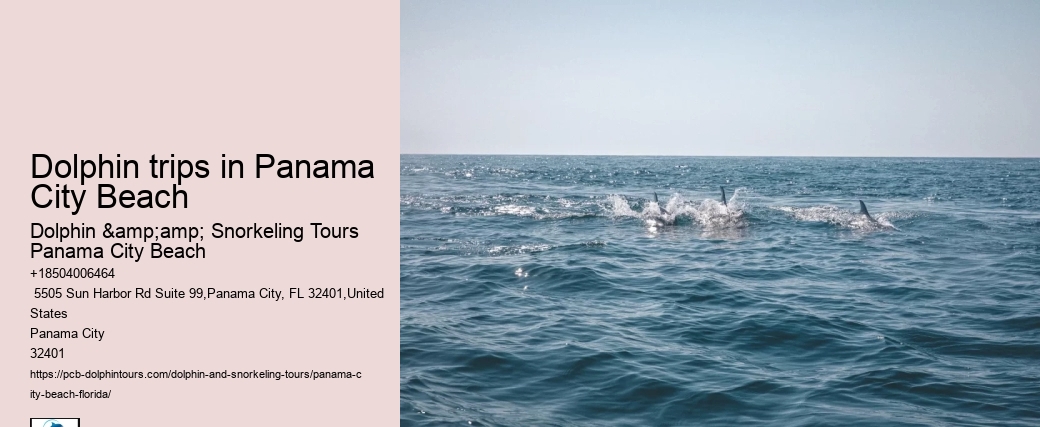 Are Panama City Beach dolphin tours suitable for non-swimmers