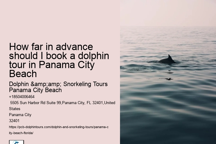 Panama City Beach Dolphin Adventure Trips