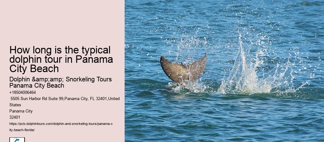 How long is the typical dolphin tour in Panama City Beach