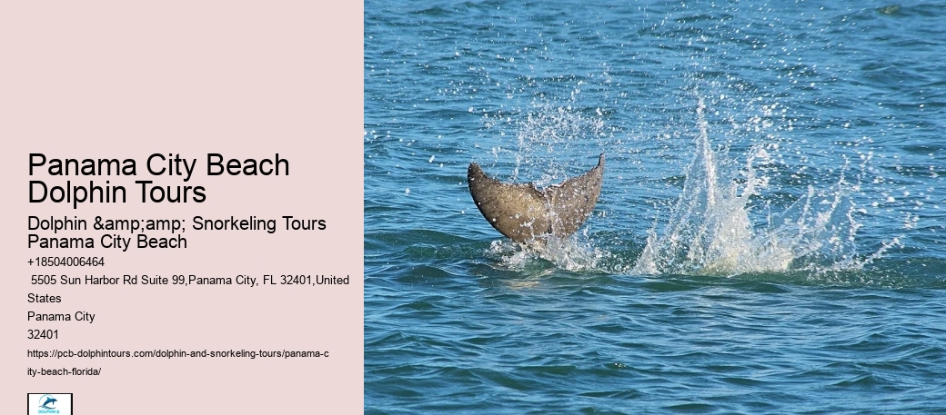 Panama City Beach Dolphin Tours