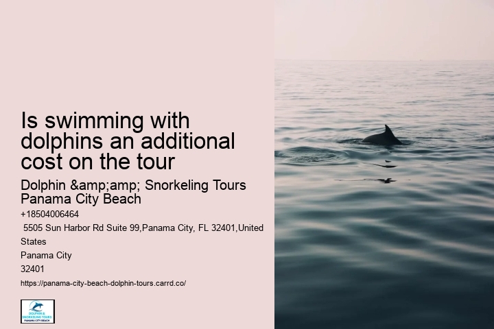 How much does a dolphin tour in Panama City Beach cost