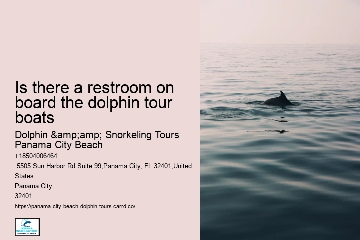Is there a restroom on board the dolphin tour boats