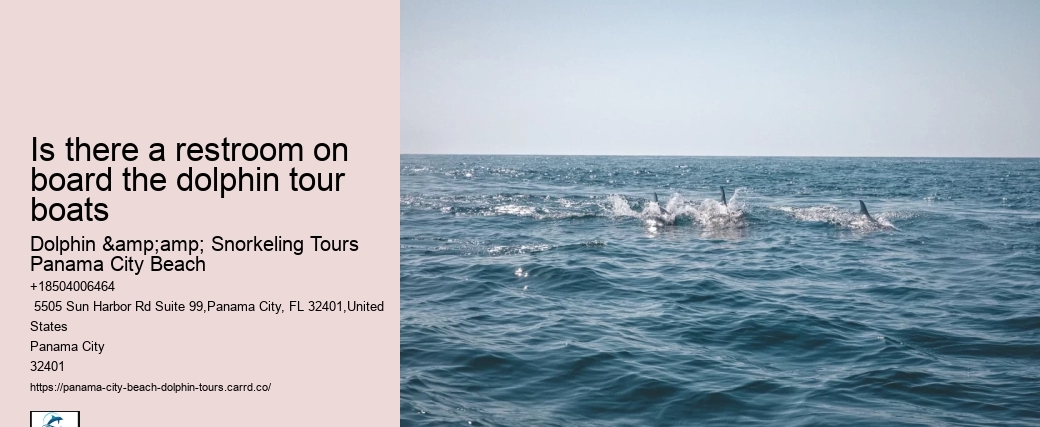 Dolphin Tours In Panama City Florida