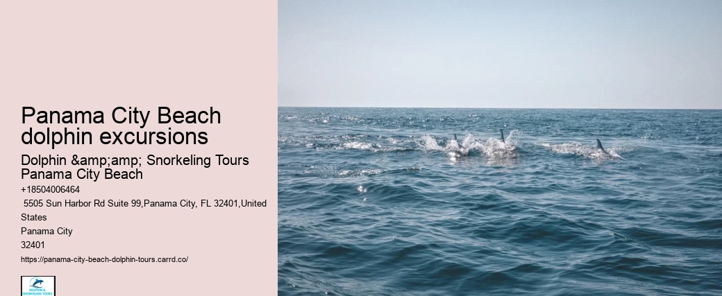 Panama City Beach dolphin excursions