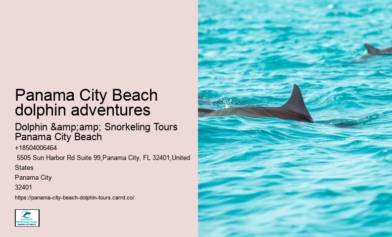 Dolphin Tours Destin