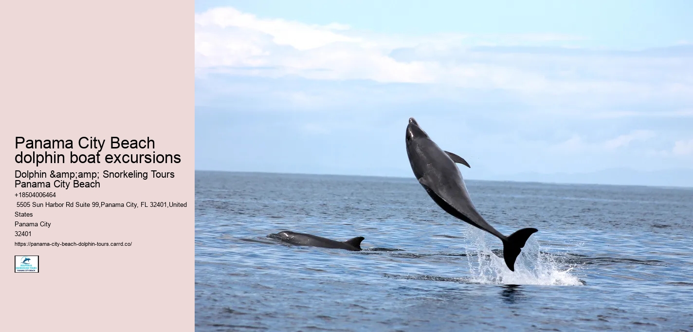 Dolphin Tours In Panama City Florida