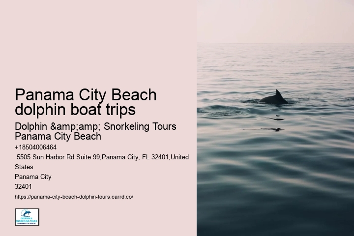 Panama City Beach Dolphin Jet Ski Tours