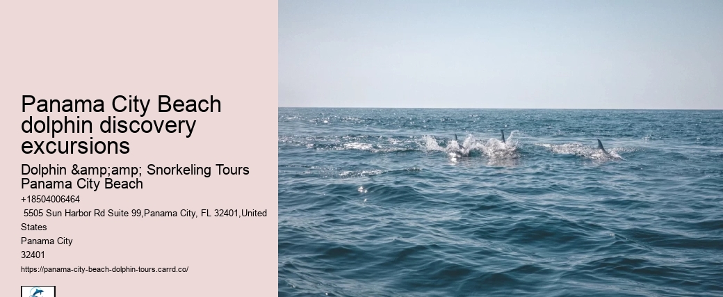 Sunset Dolphin Tours Panama City Beach Fl