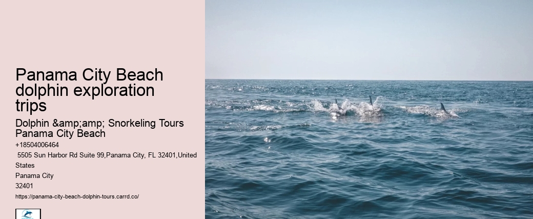 Panama City Beach Fl Dolphin Cruise