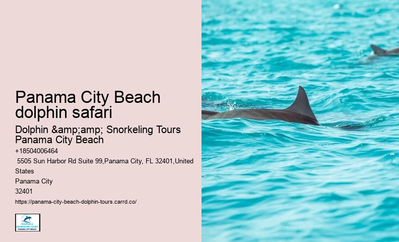 Dolphin And Snorkeling Tours Panama City Beach Fl
