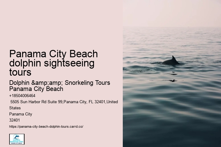 Can I request a specific time for my dolphin tour