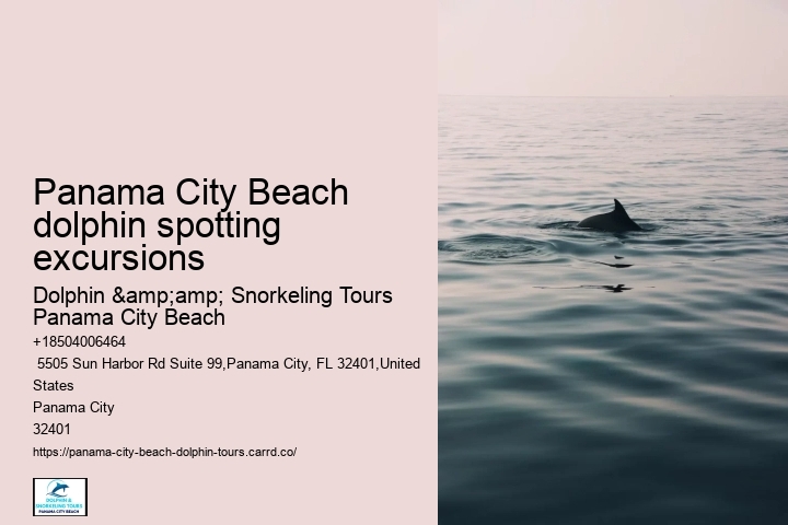 Dolphin sightseeing in Panama City Beach