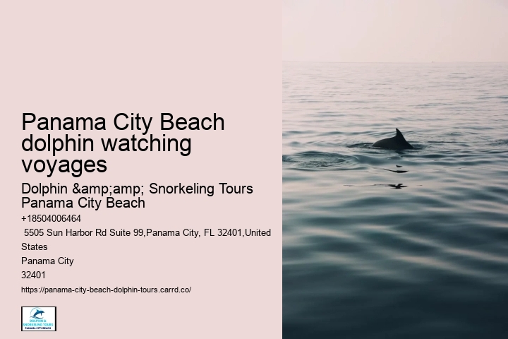 PCB Dolphin Discovery Excursions