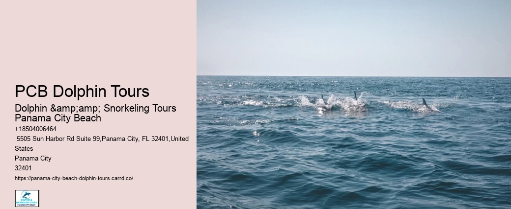 Dolphin boat tours at Panama City Beach