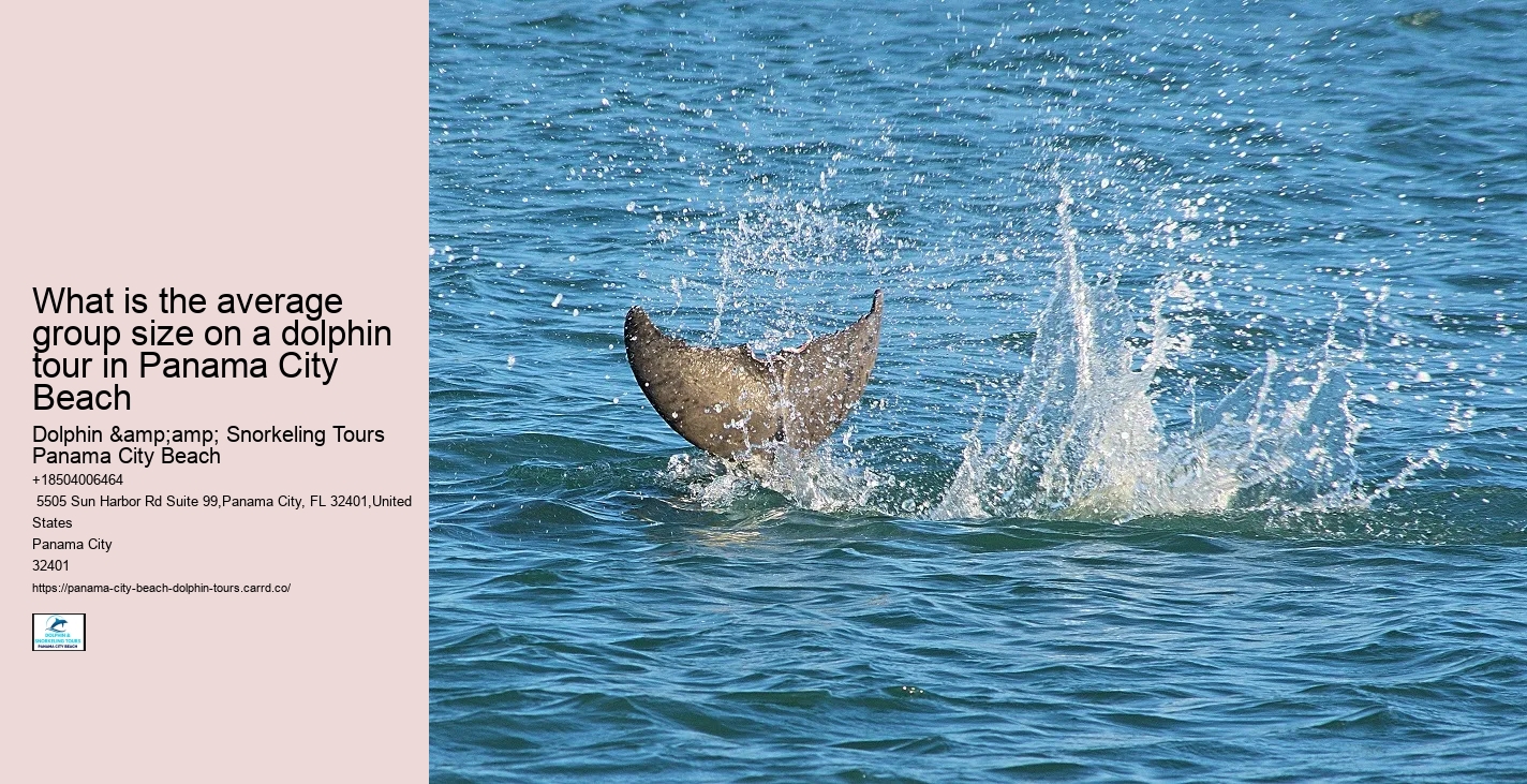 Panama City Beach dolphin spotting cruises