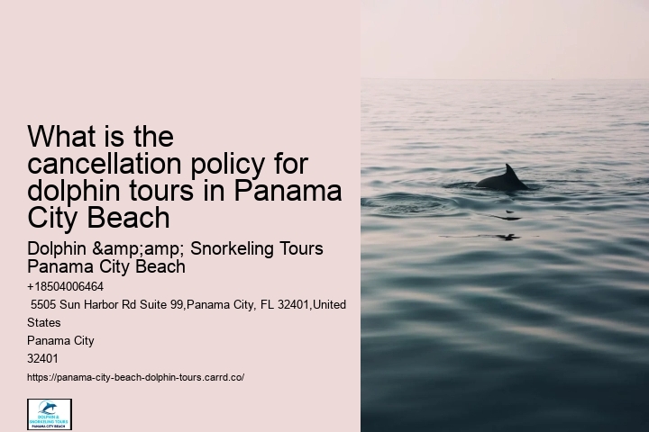 Dolphin Boat Tours Panama City Beach