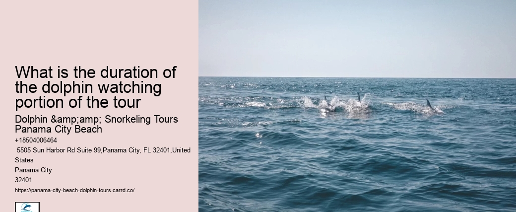 Dolphin Tours In Panama City Beach Florida